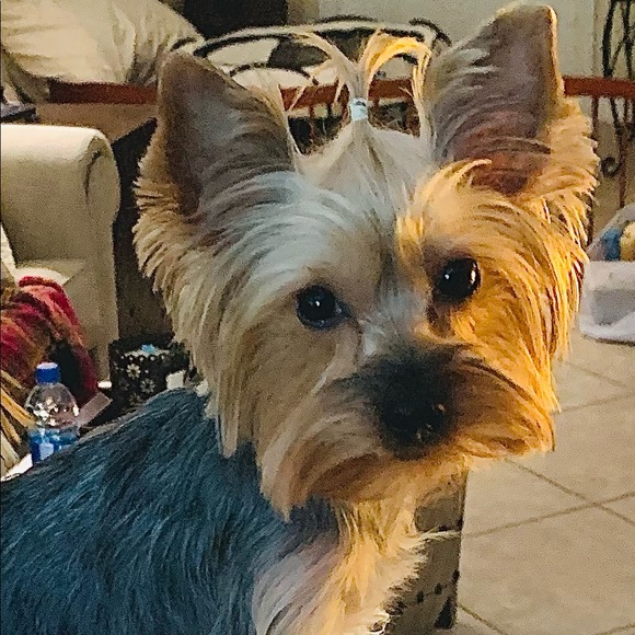 Meet your Posher, Laura! - Picture 6 of 8